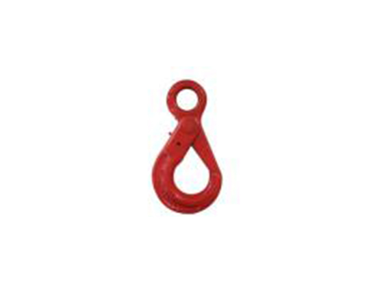 80级欧式眼型自锁钩(HSK) G80 EUROPEAN TYPE EYE SELF-LOCKING HOOKS (HSK)